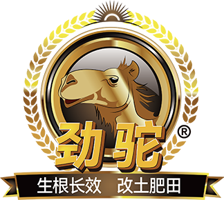 劲驼120小程序后台